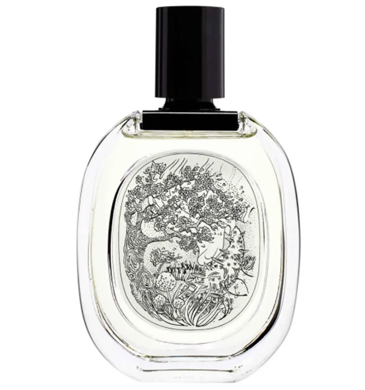 EDT FLORABELLIO 100 ML