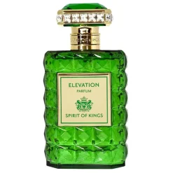 Elevation Parfum 100ml