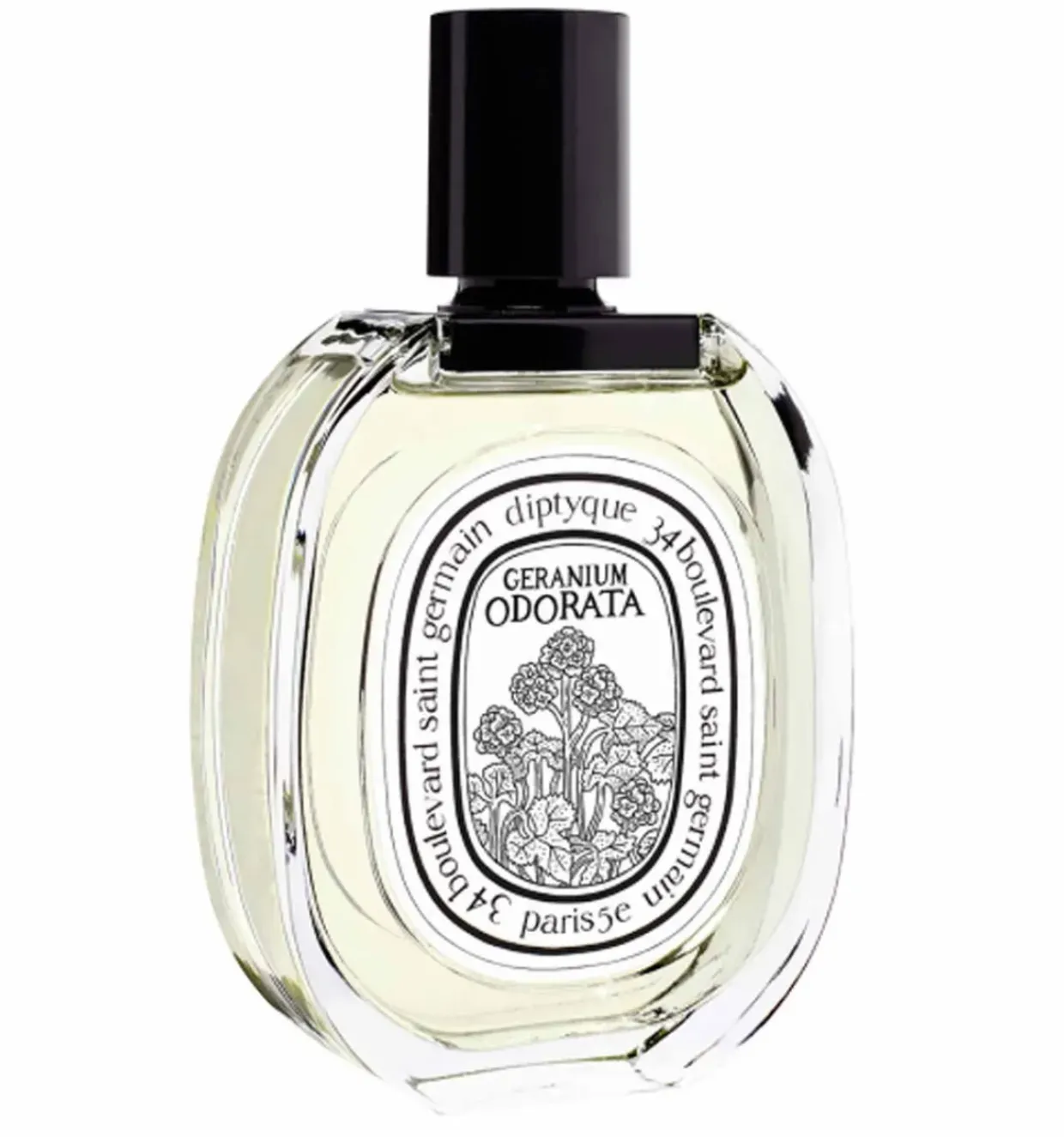 Geranium Odorata Eau de Toilette